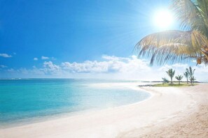 A beach with clear turquoise water, a sandy shore, and palm trees.