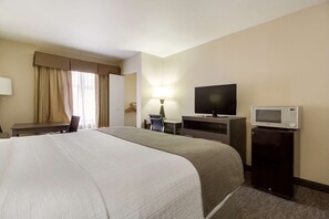 A hotel room with a bed, a television, a microwave, a desk, and a chair.