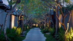 A pathway flanked by trees and greenery, leading to a building with a modern architectural style.