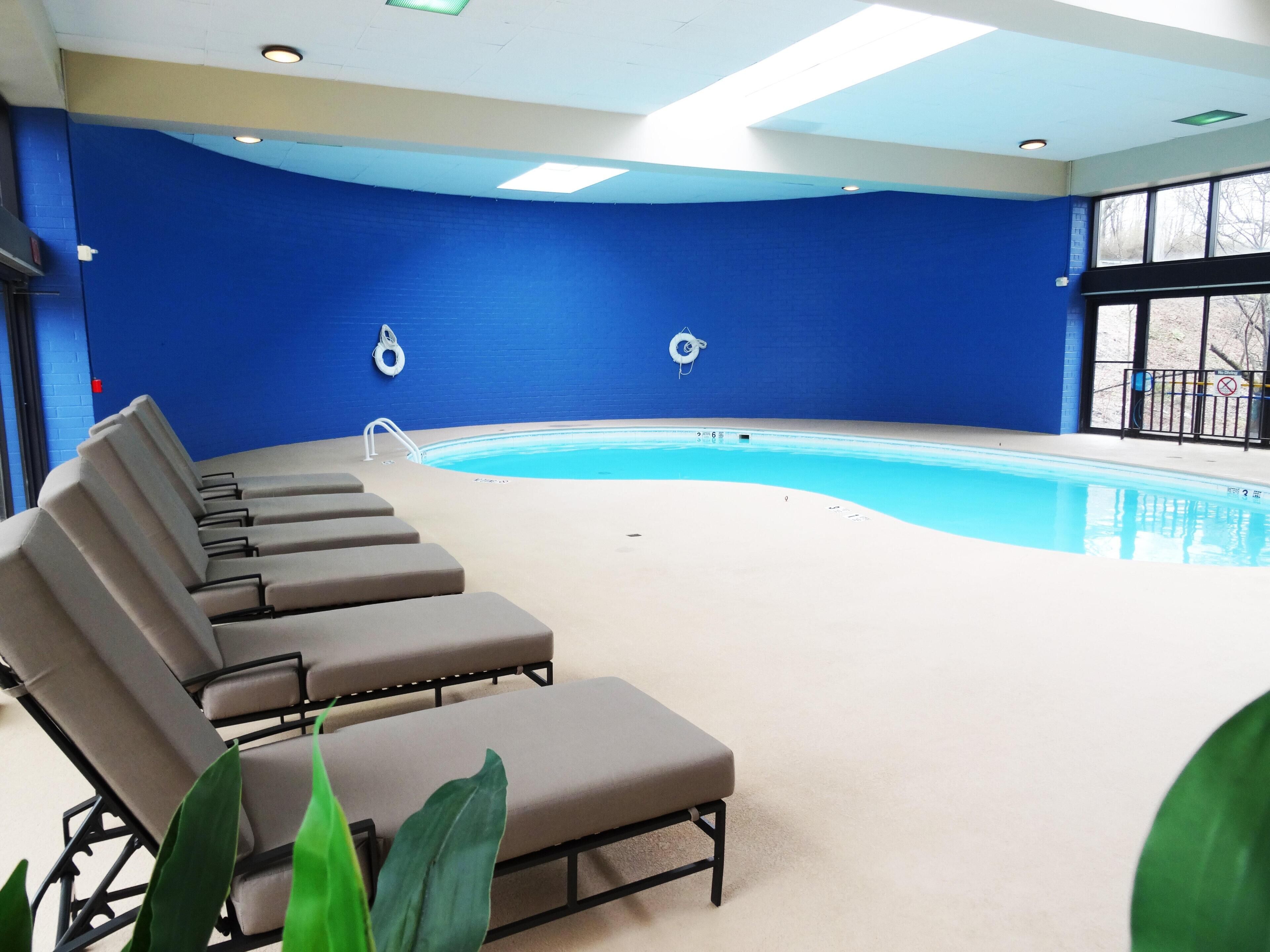 A swimming pool with lounge chairs, a blue wall, and a ceiling with recessed lighting.