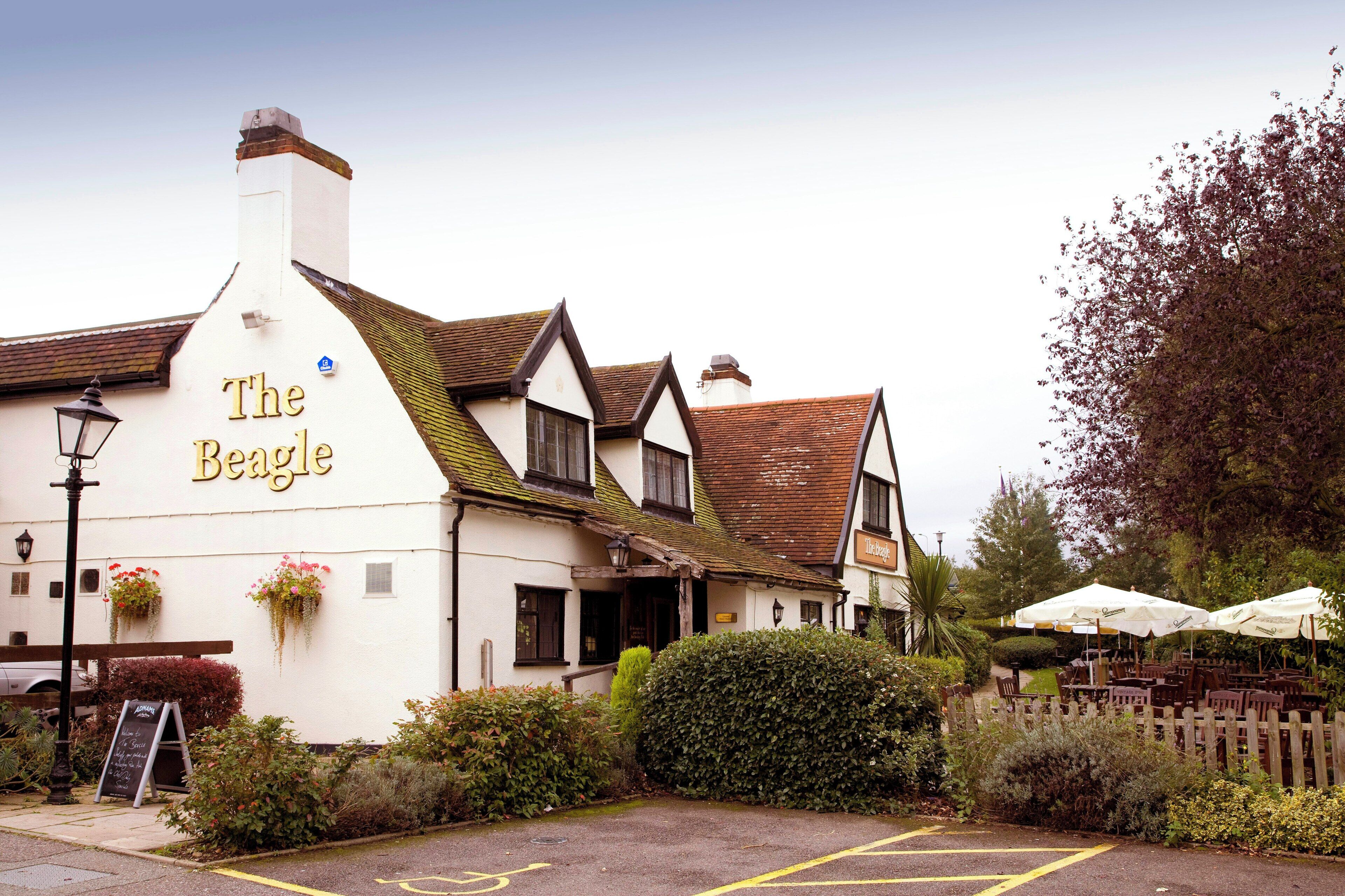 A traditional building with a sign reading 'The Beagle.'
