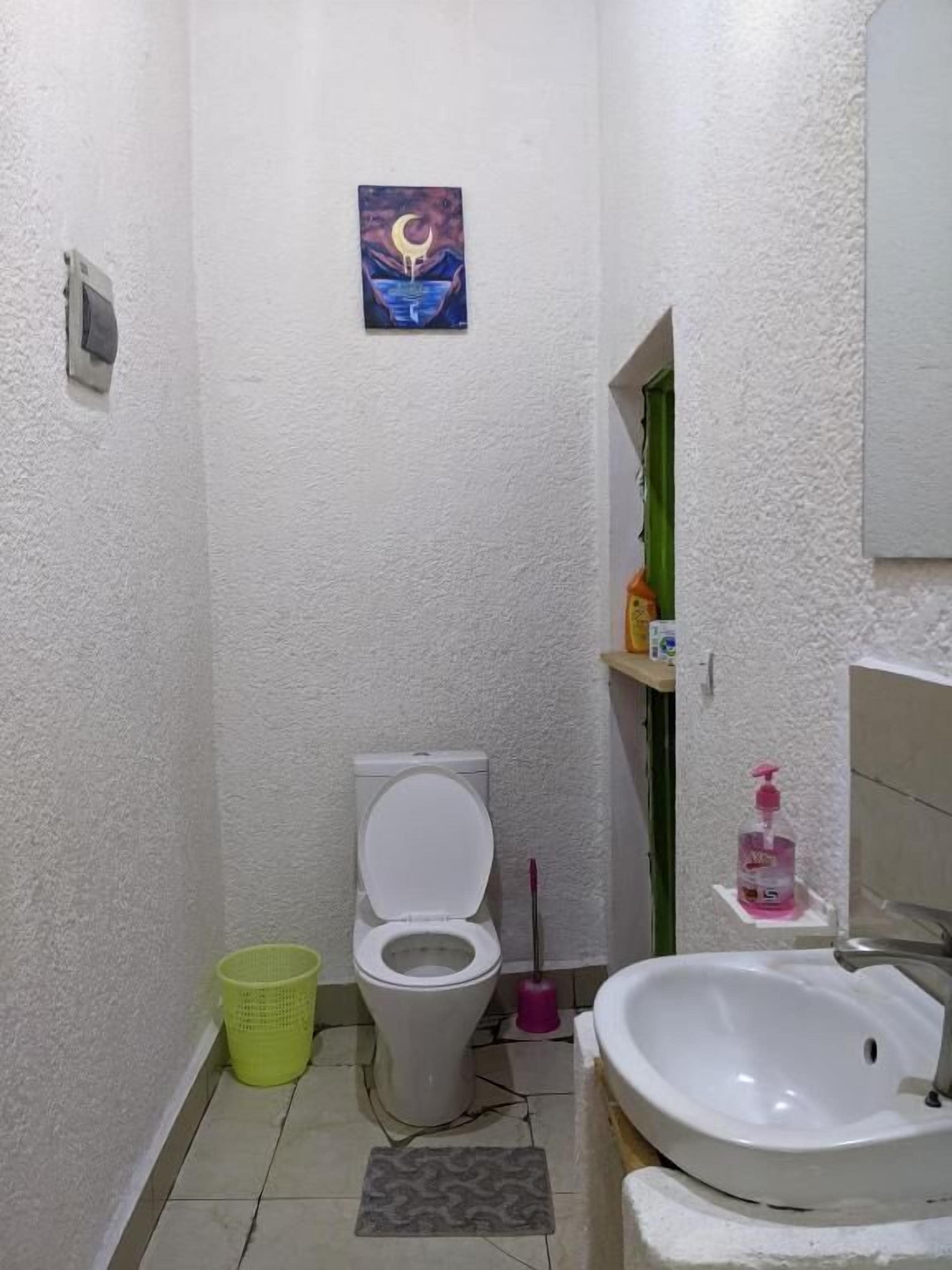 A small bathroom with a toilet, a sink, a green trash bin, a painting on the wall, and a green door.