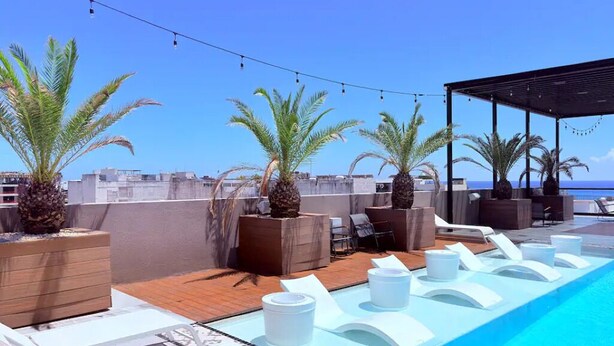 Un área de piscina en la azotea con sillones de descanso, palmeras y una vista despejada del océano.