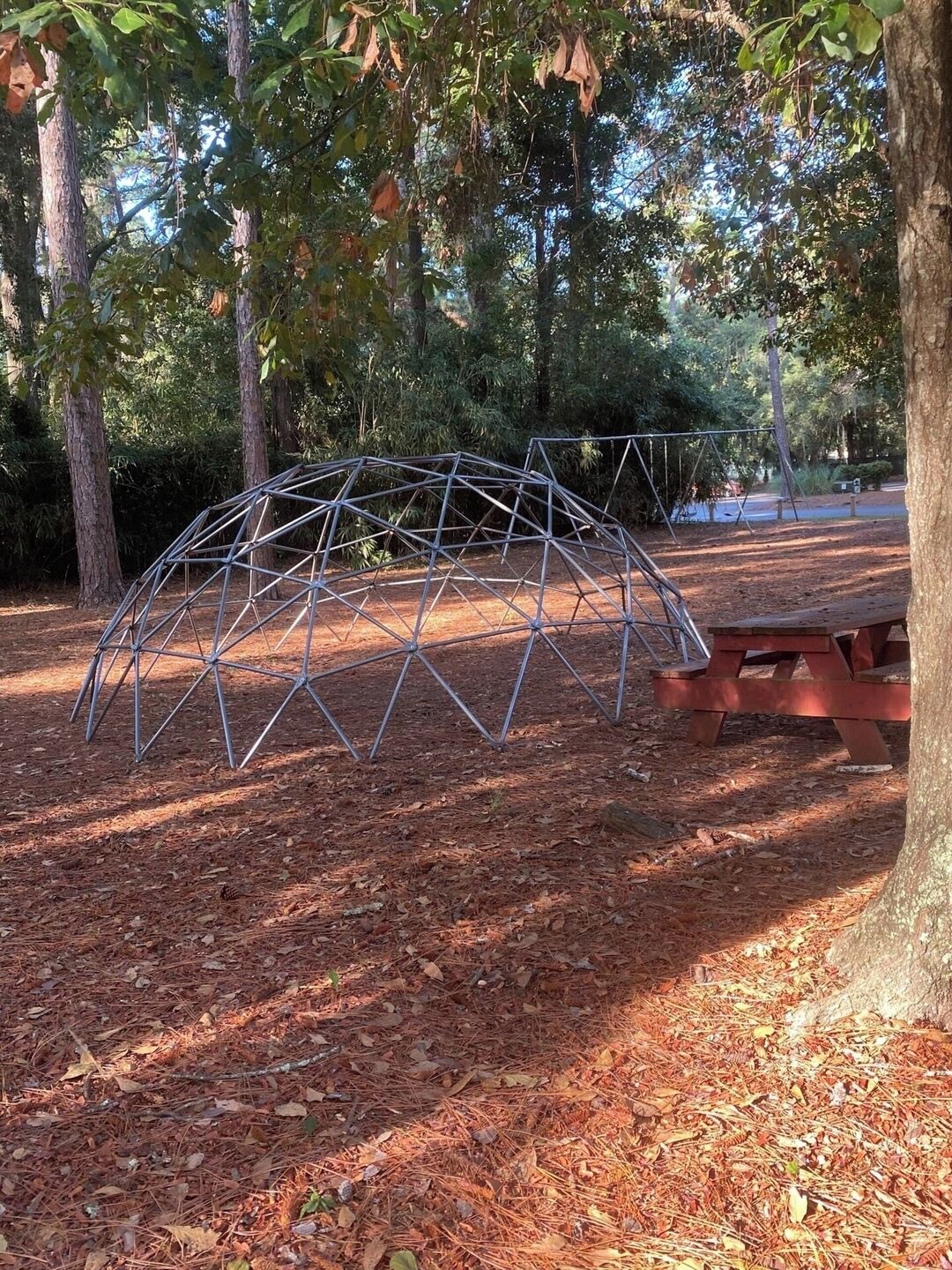 A metal structure resembling a geodesic dome in a wooded park area with a picnic table nearby.