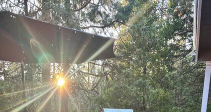 Treehouse Chalet in the Pines with Fire Pit and Forest Views