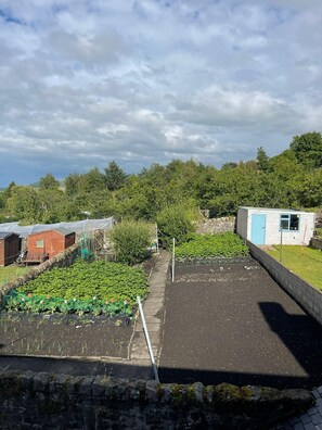 Property grounds -  Cosy Cottage Sleeps 8 in Newburgh, Fife (Newburgh)