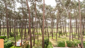 Une vue d’une zone boisée avec une piscine et un petit abri de jardin.