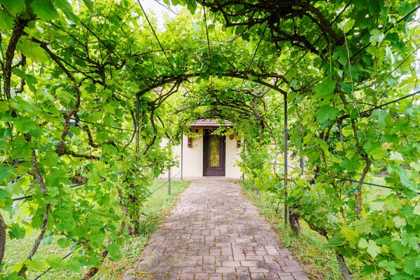 Uma passagem coberta por trepadeiras que leva a um edifício com uma porta escura.