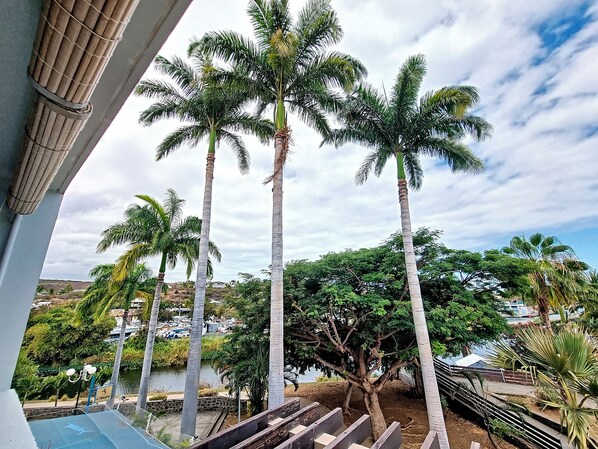 A view of tall palm trees, a body of water, and a distant landscape with buildings. - Perle d'été - Balcon - Wifi (Saint-Paul)