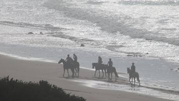 On the beach