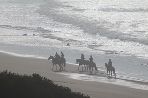 Une plage où l’on peut voir des gens à cheval se promener le long du rivage.