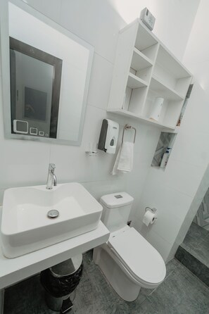 Shower, towels, soap, toilet paper