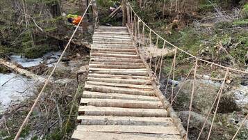 A wooden staircase leading up a forested area.
