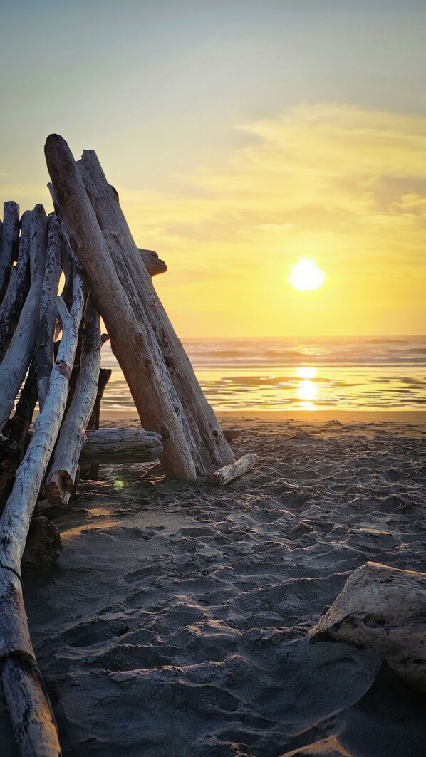 Une scĂšne de plage avec du bois flottĂ© et le soleil se couchant sur lâocĂ©an.