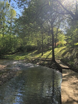 Um rio de águas cristalinas, ladeado por árvores e uma passarela de madeira.