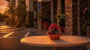 Une table ronde avec une plante en pot au premier plan, un bâtiment aux murs de pierre et une porte à l’arrière-plan, et un ciel au coucher du soleil.
