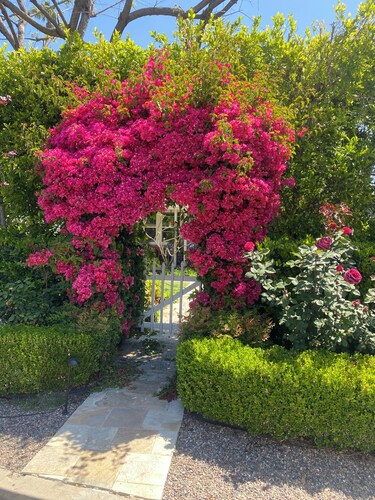 Quaint 1-bedroom bed & breakfast with AC in Los Angeles