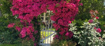 Quaint 1-bedroom bed & breakfast with AC in Los Angeles