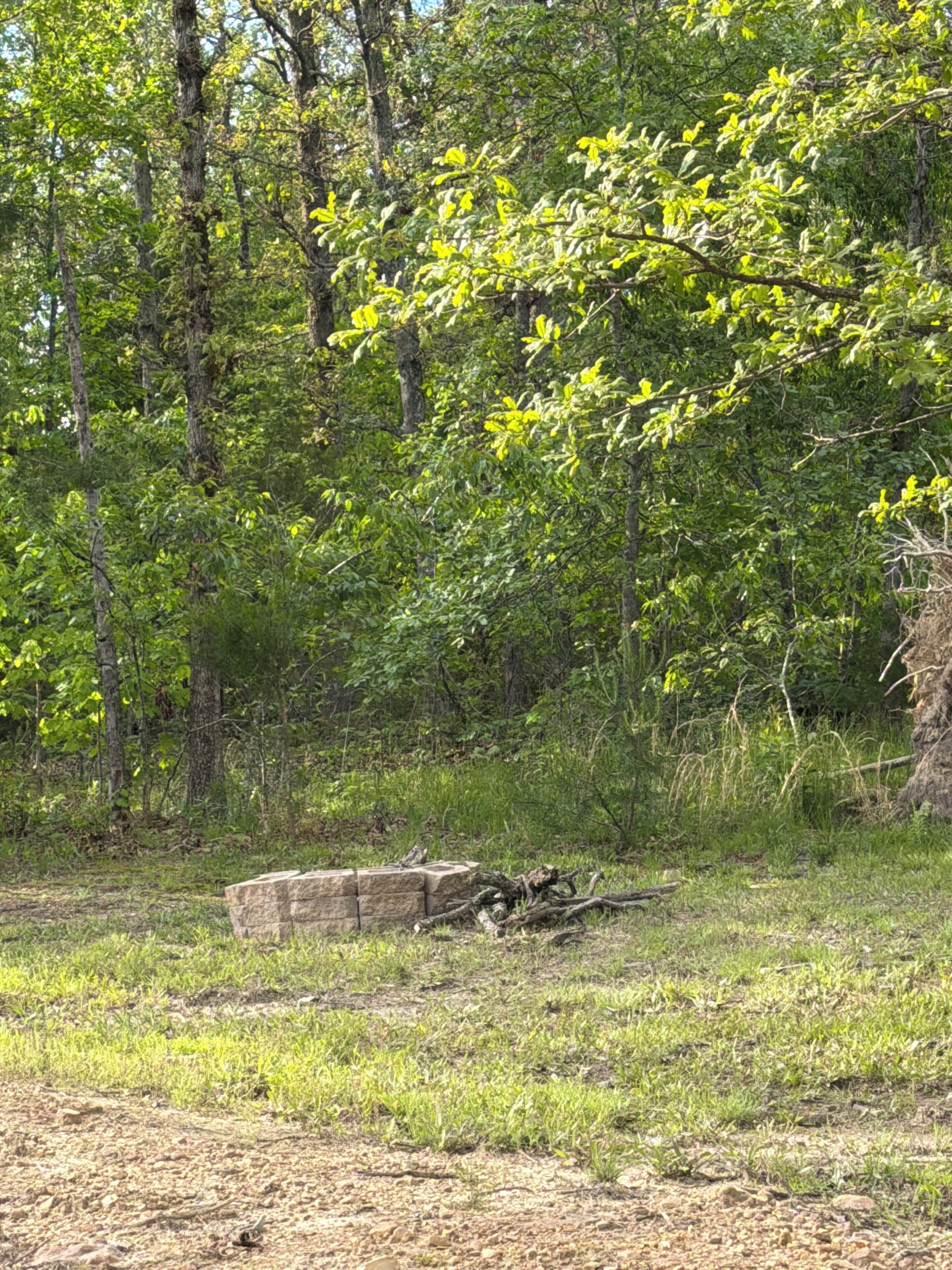 A natural outdoor setting with dense green foliage, a stone structure, and a grassy area.