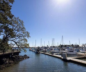 A marina with boats docked, a wooden pier, and a clear blue sky. - Bright Brand New Harbourside 2BR | Walk to Victoria (Victoria)