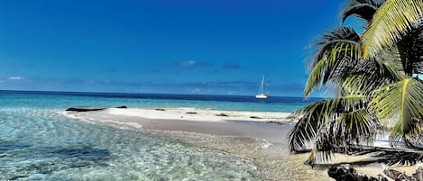 A beach with clear turquoise water, a sandy shore, and a sailboat in the distance.