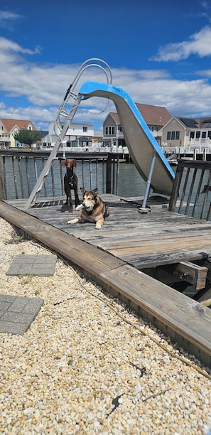 Property grounds -
**Pet-Friendly Waterfront Tiki Escape with Fire Pit, bars, screened in porch
(Little Egg Harbor Township)
