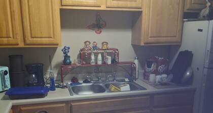 Tranquil 2-bedroom apartment with AC in charming Sikeston Missouri