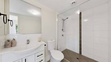 Hair dryer, towels, soap, shampoo