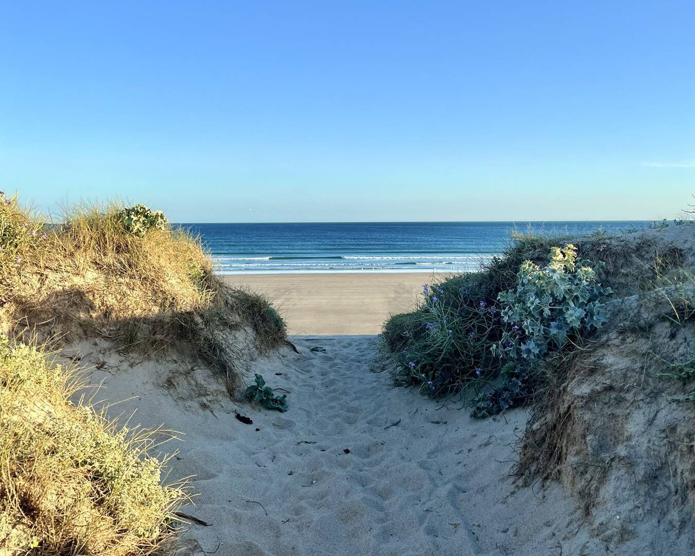 In Strandnähe