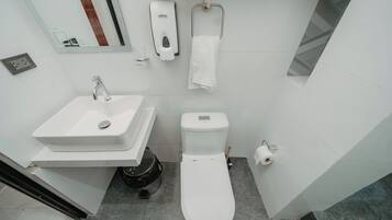 Regadera, toallas, jabón, papel de baño