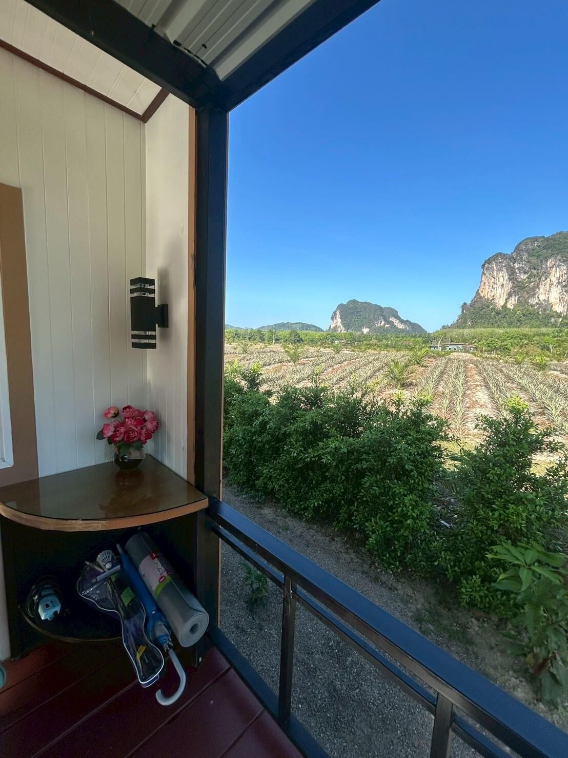 Studio Suite, Patio, Hill View | Interior