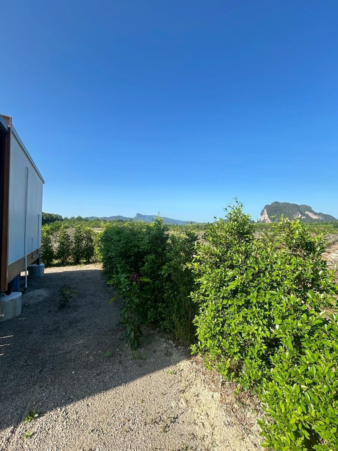 Studio Suite, Patio, Hill View | Property grounds