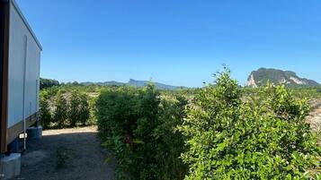 Studio Suite, Patio, Hill View | Property grounds