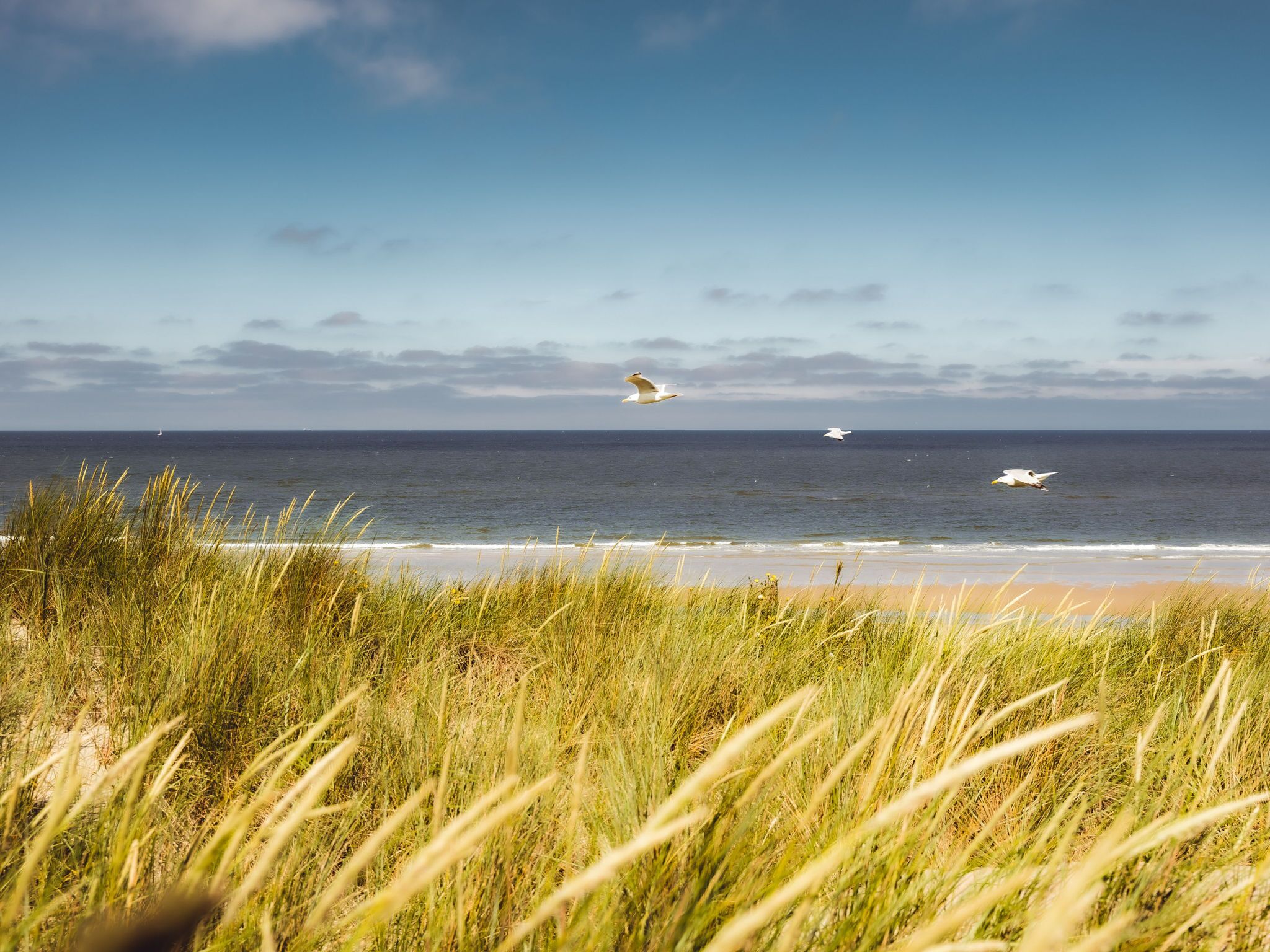 Strand
