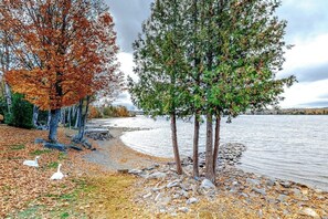 A lakeside scene with trees, a pebbled shore, and swans.