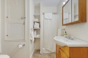 Shower, hair dryer, towels