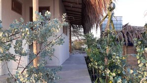Un sentier menant à un bâtiment dont le toit est recouvert de chaume, entouré d’eucalyptus.