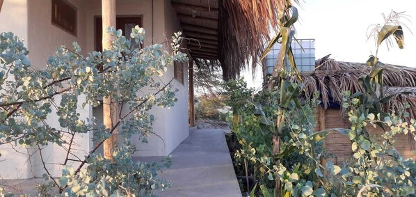 Exterior detail