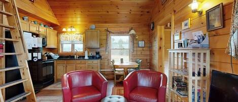 TV, fireplace, DVD player, video library