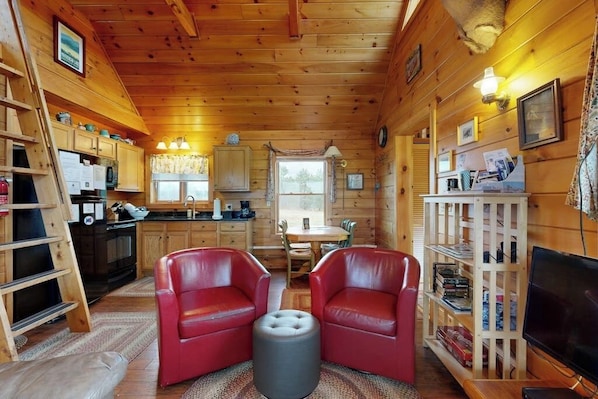 Fernseher, Kamin, DVD-Player, Videothek