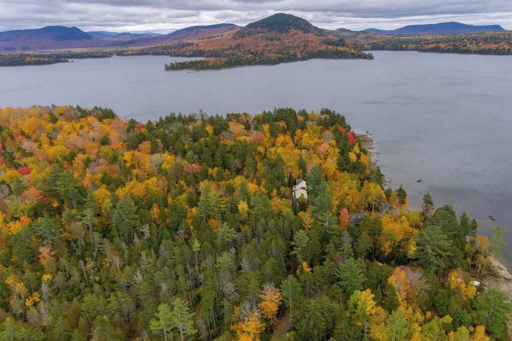 A forested area with a lake and distant mountains.