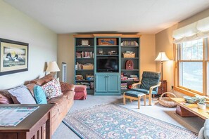 TV, DVD player, books