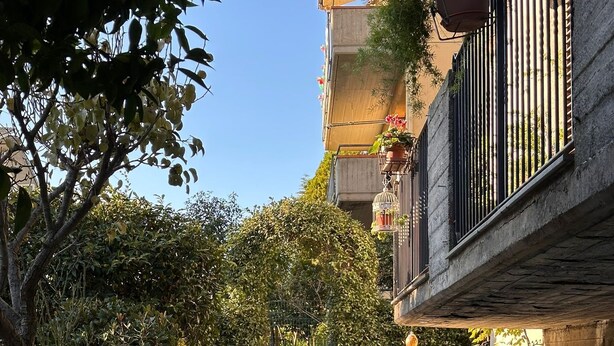 A stone pathway leading to a building with a balcony, surrounded by greenery and potted plants.