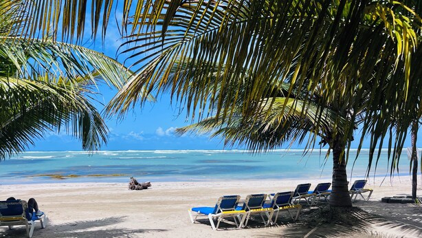 A beach with palm trees, a sandy shore, and lounge chairs. - A fully furnished, Beachside Apartment | Pool, Walk Everywhere (Calle Almirante)