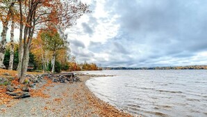 A lakeside path with trees and pebbles.