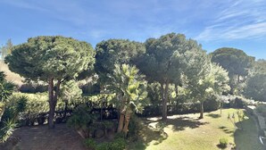 Un jardin avec des arbres et des arbustes, un ciel dégagé et un sentier.