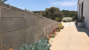 Eine Betonmauer mit einer Reihe von Sukkulenten und einem Weg zu einem Gebäude.