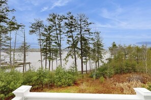 Une vue d’une zone boisée, avec de grands arbres et une étendue d’eau en arrière-plan.