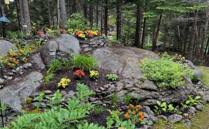 Ein Garten mit Steinen, Pflanzen und Blumen.
