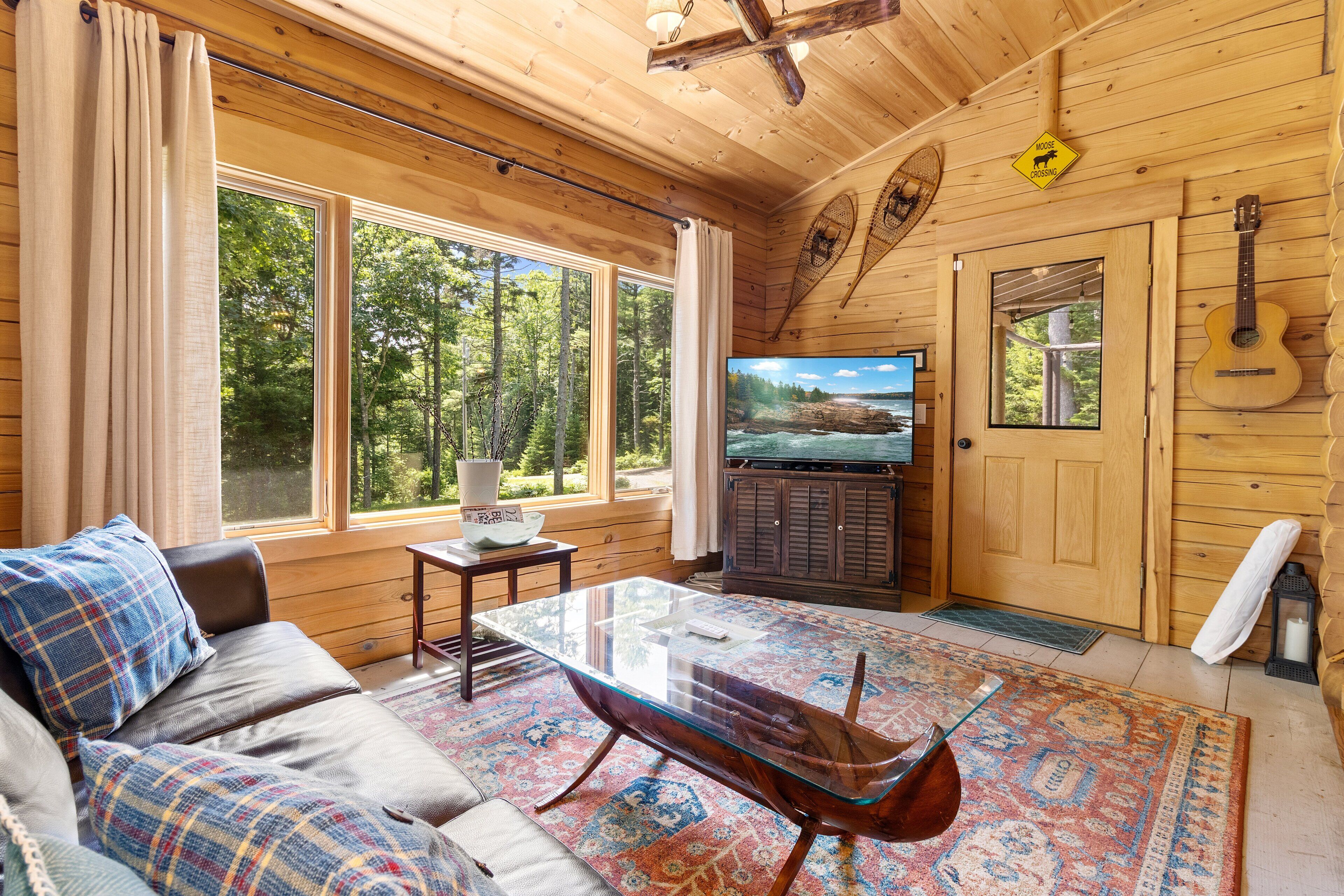 TV, DVD player, books, video library